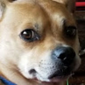 Meet your Posher, Darkgamer